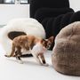 Beds - Nest Natural Sheepskin Pet Bed - White - MELLOW CONCEPT STORE