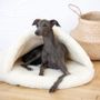 Beds - Natural Wool Pet Cave - White - MELLOW CONCEPT STORE