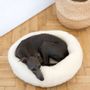 Beds - Round Natural Wool Pet Bed - White - MELLOW CONCEPT STORE