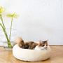 Beds - Round Natural Wool Pet Bed - White - MELLOW CONCEPT STORE