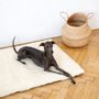 Beds - Square or Rectangular Natural Woolen Pet Mat - White - MELLOW CONCEPT STORE