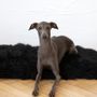 Beds - Square or Rectangular Natural Sheepskin Pet Mat - Black - MELLOW CONCEPT STORE