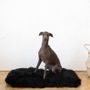 Beds - Square or Rectangular Natural Sheepskin Pet Mat - Black - MELLOW CONCEPT STORE
