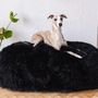 Lits - Lit Ovale pour Animal en Peau de Mouton Naturelle – Noir - MELLOW CONCEPT STORE
