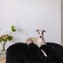 Lits - Lit Ovale pour Animal en Peau de Mouton Naturelle – Noir - MELLOW CONCEPT STORE