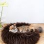 Beds - Round Natural Sheepskin Pet Bed - Brown - MELLOW CONCEPT STORE
