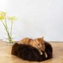 Beds - Round Natural Sheepskin Pet Bed - Brown - MELLOW CONCEPT STORE