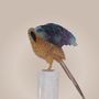 Sculptures, statuettes and miniatures - Celestial Plumage - PRESTONEX DESIGN PVT LTD