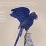 Sculptures, statuettes and miniatures - Echo of the Skies - PRESTONEX DESIGN PVT LTD