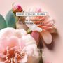 Home fragrances - Home recharge - AER INSIDE