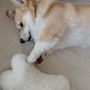 Decorative objects - Natural Sheepskin Dog Toy: Bone - White - MELLOW CONCEPT STORE