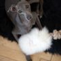 Decorative objects - Natural Sheepskin Dog Tug Toy - White - MELLOW CONCEPT STORE