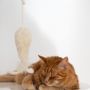 Decorative objects - Natural Sheepskin Cat Toy: Fish - MELLOW CONCEPT STORE