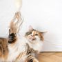 Decorative objects - Natural Sheepskin Cat Toy: Fish - MELLOW CONCEPT STORE