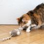 Objets de décoration - Jouet pour Chat en Peau de Mouton Naturelle : Calmar - MELLOW CONCEPT STORE