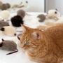 Decorative objects - Natural Sheepskin Cat Toy: Mouse - MELLOW CONCEPT STORE