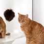 Objets de décoration - Jouet pour Chat en Laine Naturelle : Balle - MELLOW CONCEPT STORE