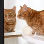Objets de décoration - Jouet pour Chat en Laine Naturelle : Balle - MELLOW CONCEPT STORE