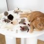 Objets de décoration - Jouet pour Chat en Laine Naturelle : Balle - MELLOW CONCEPT STORE