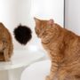 Decorative objects - Natural Sheepskin Cat Toy: Ball - MELLOW CONCEPT STORE