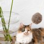 Decorative objects - Natural Sheepskin Cat Toy: Ball - MELLOW CONCEPT STORE