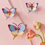 Other wall decoration - Butterflies & Beetles - STUDIO ROOF