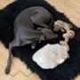 Objets de décoration - Jouet à Tirer en Peau de Mouton Naturelle – Beige - MELLOW CONCEPT STORE