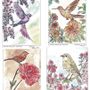 Gifts - Nomad Watercolor Kit - Spring inflight (all included) | Kit n'Kif ® - ATELIER MANDALA