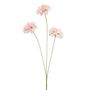 Floral decoration - Dianthus spray - EMERALD ETERNAL GREEN BV