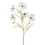 Floral decoration - Cosmos spray - EMERALD ETERNAL GREEN BV