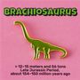 Brooches - Pin Brachiosaur - PINPINPIN.IT