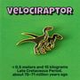 Brooches - Pin Velociraptor - PINPINPIN.IT