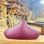 Vases - Origens Vases - OEBANISTA