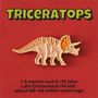 Brooches - Pin Triceratops - PINPINPIN.IT
