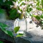 Diffuseurs de parfums - JARDIN SECRET - AMELIE ET MELANIE