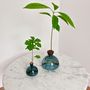 Vases - Avocado Vase and Acorn Vase NEW JAY BLUE color - ILEX STUDIO