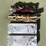 Gifts - EXPLORATION SET - TOTEM NATURE