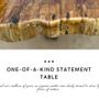 Dining Tables - Terra Lucida - The Shining Earth - Petrified Wood Table - PRESTONEX DESIGN PVT LTD