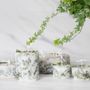 Candles - Among the Willows 40 - KOTT