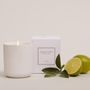 Bougies - NATURE PURE - CERAS ROURA S.A.