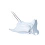 Chambres d'hôtels - Sculpture en porcelaine – Raie Manta Blanche - OCEANSTORE DESIGN