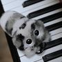 Soft toy - FUFUSOUL - CREATE HANGZHOU