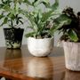 Vases - [ANU] Bol et pot pour plantes - SEOUL DESIGN FOUNDATION