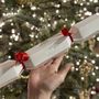 Parfums d'intérieur - Biscuits de Noël - KOTT