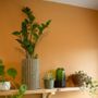 Vases - VASEAS and VASEO vase - BOUTURES D'OBJETS