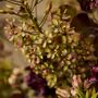 Décorations florales - Mélange de fleurs artificielles bordeaux captivant - SILK-KA BV