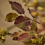 Décorations florales - Mélange de fleurs artificielles bordeaux captivant - SILK-KA BV