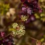 Décorations florales - Mélange de fleurs artificielles bordeaux captivant - SILK-KA BV