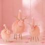 Objets de décoration - Pink Wonderland - J-LINE BY JOLIPA
