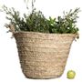 Decorative objects - Handwoven Moroccan baskets – Available in multiple sizes - COSYDAR-DECO